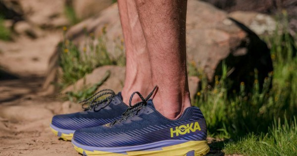 Hoka torrent online avis
